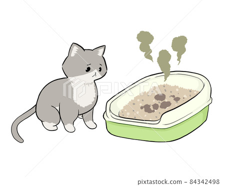 A cat in trouble because the toilet is dirty A cat in trouble because the toilet is dirty 84342498