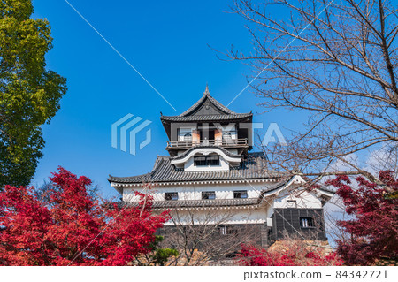 Autumn National Treasure Inuyama Castle <Inuyama City, Aichi Prefecture> Autumn National Treasure Inuyama Castle <Inuyama City, Aichi Prefecture> 84342721