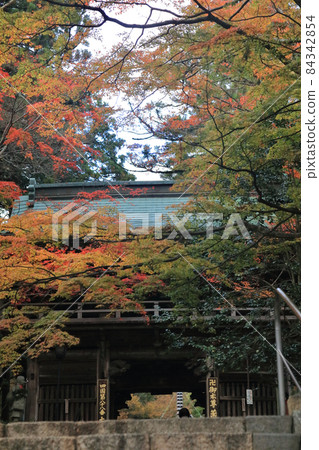 Autumn Shikoku Buddha 88th Ticket "Okuboji" The autumnal gates Autumn Shikoku Buddha 88th Ticket "Okuboji" The autumnal gates 84342854
