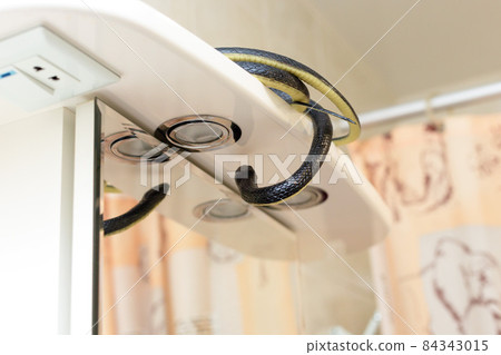 A venomous black snake lurking in the bathroom by the mirror A venomous black snake lurking in the bathroom by the mirror 84343015