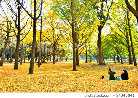 Women sitting on a carpet of yellow leaves and a park dyed in autumn colors 84343041
