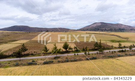 Gorgeous view of the road in the Peruvian Andes Gorgeous view of the road in the Peruvian Andes 84343229