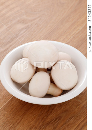 Mushroom Mushroom 84343235