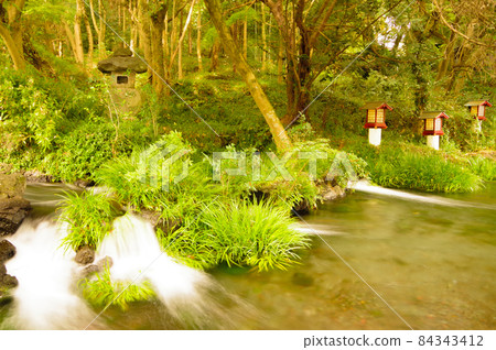 池塘和秋天的落葉 84343412