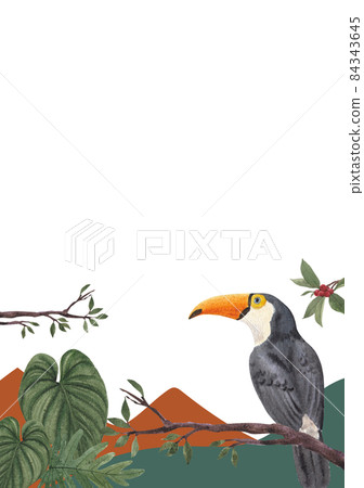 Hornbills Bird frame Watercolor Illustration Hornbills Bird frame Watercolor Illustration 84343645