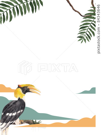 Hornbills Bird frame Watercolor Illustration Hornbills Bird frame Watercolor Illustration 84343646
