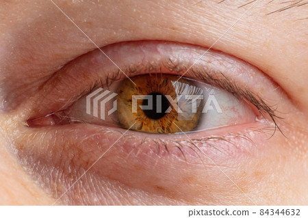 human pupil close-up of brown color