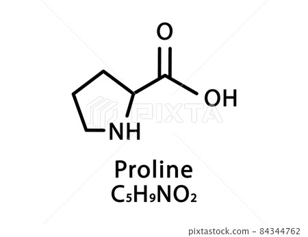 Proline molecular structure. Proline skeletal chemical formula. Chemical molecular formula vector illustration 84344762
