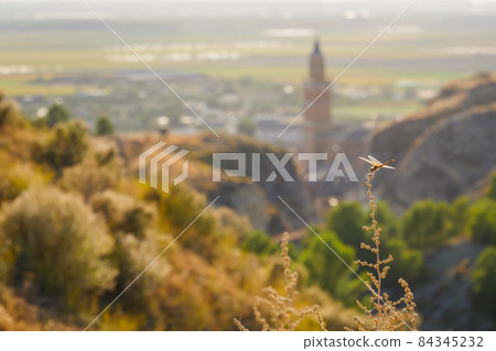 Europe, Nature, Navarre 84345232