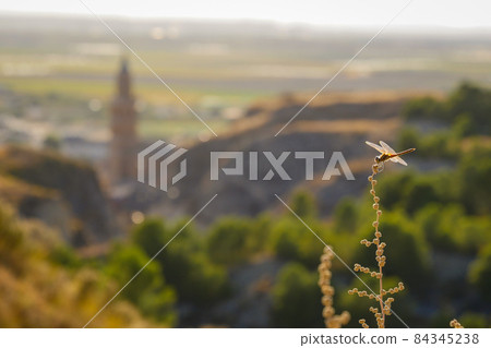 Europe, Nature, Navarre 84345238