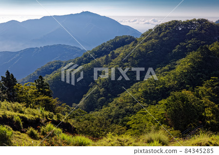 夏天從丹澤表嶺看到的晨霧中的小山 84345285