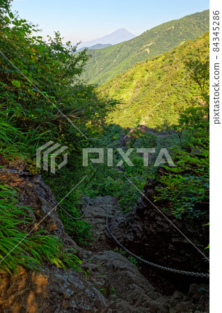 從丹澤表嶺和行子岳的鏈條上看到的富士山 84345286