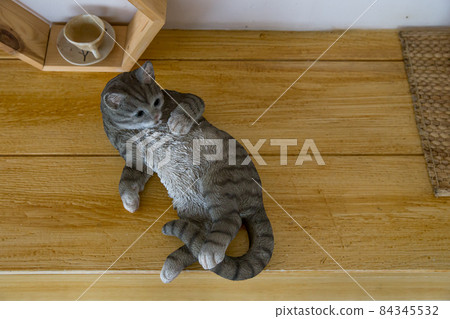 Black Cat doll wood focus selective 84345532