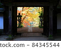 Autumn leaves of Korankei seen from the approach to Kojakuji Temple in Asuke-cho, Toyota City, Aichi Prefecture 84345544