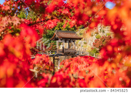Autumn Kokeizan Eihoji Temple <Tajimi City, Gifu Prefecture> Autumn Kokeizan Eihoji Temple <Tajimi City, Gifu Prefecture> 84345825