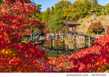 Autumn Kokeizan Eihoji Temple <Tajimi City, Gifu Prefecture> 84345826