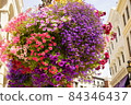 Colorful flowers in full bloom on Rodeo Drive in Los Angeles 84346437