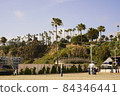 Parks and palm trees along the beach in Santa Monica 84346441