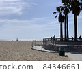 Santa Monica Park and Palm Trees 84346661