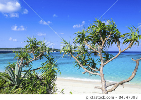 米崎海灘 Nohoo Ohashi Iheya Island 米崎海灘 Nohoo Ohashi Iheya Island 84347398