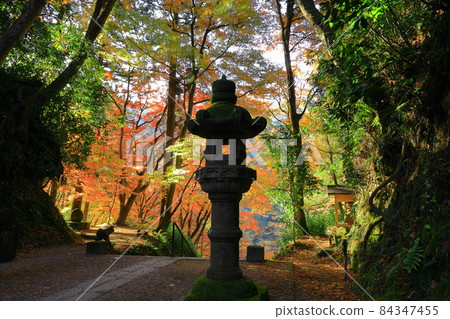 從愛知縣豐田市足助町古著寺的入口看到的小嵐溪的秋葉和友江 從愛知縣豐田市足助町古著寺的入口看到的小嵐溪的秋葉和友江 84347455