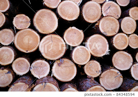 A log A log 84348594