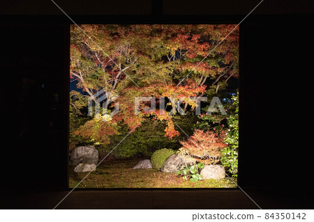 Autumn leaves in Tentokuin Garden Autumn leaves in Tentokuin Garden 84350142