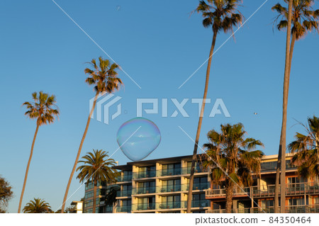 soap bubble blower fly. bubble among palm trees near building. summer vacation. 84350464