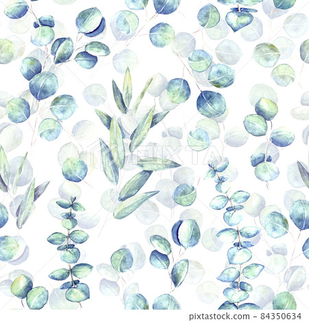 Seamless background with watercolor eucalyptus branches and leaves. Seamless background with watercolor eucalyptus branches and leaves. 84350634