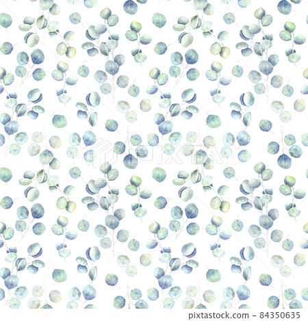 Seamless background with watercolor silver dollar eucalyptus branches. 84350635
