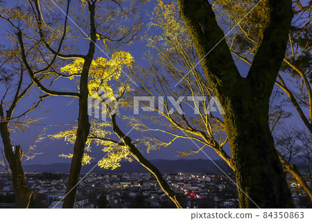 [Light-up of the three major autumn leaves in Niigata] View of Raikoji from Koshiji Maple Garden in Nagaoka City 84350863