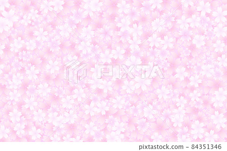 Spring background material, cherry blossom petals 84351346