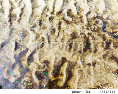 Beautiful texture of beach sand with seaweed top view Beautiful texture of beach sand with seaweed top view 84352443