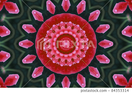 Concentric Flower Close-up. Mandala Kaleidoscopic design. Esoteric magic concept Concentric Flower Close-up. Mandala Kaleidoscopic design. Esoteric magic concept 84353314