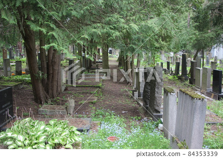 old grave stones in a cemetry. Life and death concept old grave stones in a cemetry. Life and death concept 84353339