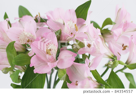 bouquet of flowers isolated on a light background. bouquet of flowers isolated on a light background. 84354557