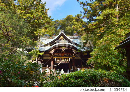 Visit Okazaki Shrine in Kyoto City, which is famous for rabbits in the fall of 2021 84354784