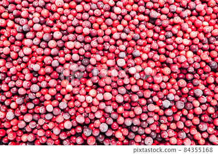 Red Cranberry background 84355168
