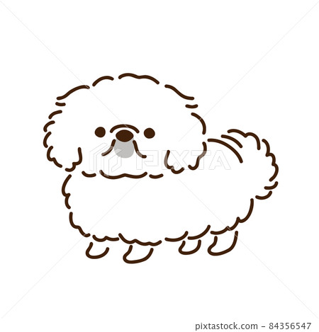 Pekingese simple and cute dog illustration - Stock Illustration