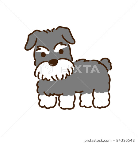 Schnauzer simple and cute dog illustration 84356548
