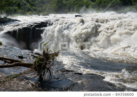 Murchison Falls National Park, Uganda 84356600