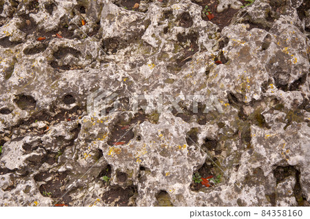 The texture of a large old stone The texture of a large old stone 84358160