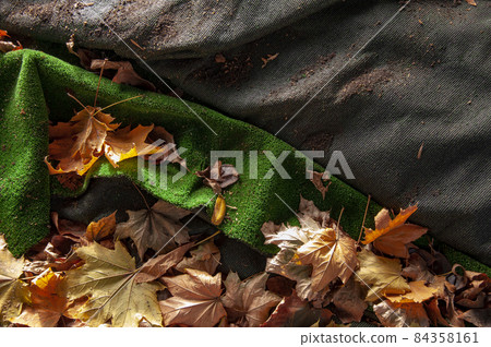 artificial green lawn with yellow fallen autumn leaves artificial green lawn with yellow fallen autumn leaves 84358161