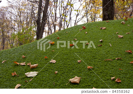 A green sheared artificial hill, on which autumn leaves fell. A green sheared artificial hill, on which autumn leaves fell. 84358162