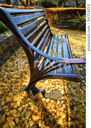 Autumn leaves and benches in Ryonan Park 84358818