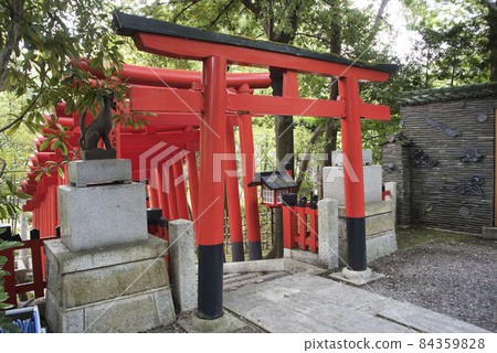 鳥居洋樹 鳥居洋樹 84359828