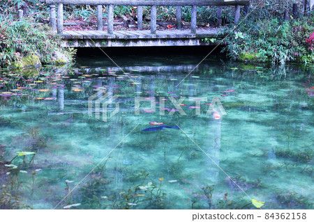 無名池塘（俗稱莫奈的池塘） 84362158