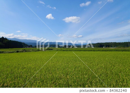 Yaita City Hyogo Hata Rice Terraces Yaita City Hyogo Hata Rice Terraces 84362240