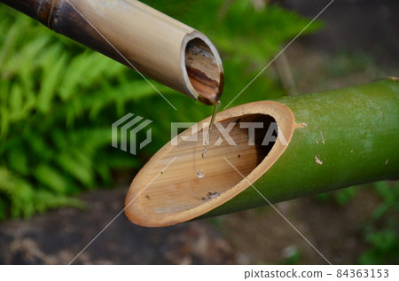 Higo Hosokawa Garden: Bamboo Shishi-odoshi, Shishi-odoshi, Shishi-odoshi, Shishi-odoshi, where water flows in the Japanese garden 84363153