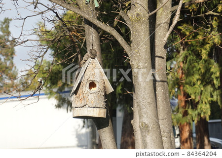 我希望即使在隆冬時節，您也能在手工製作的鳥舍中保持溫暖。 84364204